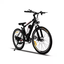 Biciclete electrice