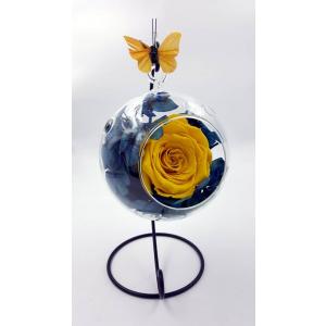 Trandafir Criogenat Natural 6.5cm și Hortensie Criogenată Naturală în bol de sticlă cu picior metalic