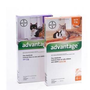 Advantage Spot On pisici/iepuri 4 pipete x 0,4 ml ( 40) - Cel mai