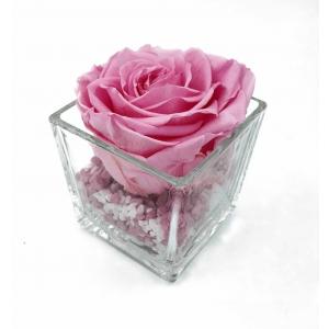Trandafir Natural Criogenat 8cm în mini vaza de sticlă