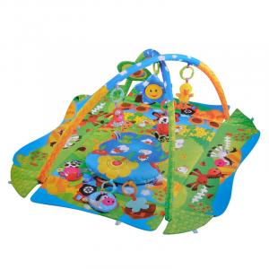 OEM Centru activitati, 12 melodii, Multicolor