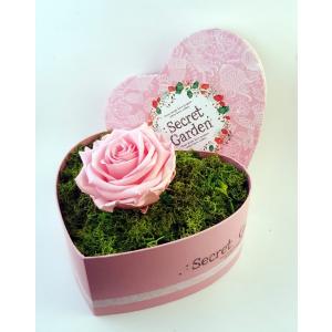 Trandafir Criogenat 9cm Natural într-o cutie mare în formă de inimă