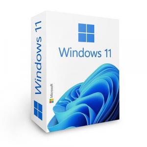 Microsoft Licenta Electronica Windows 11 Professional Retail ESD