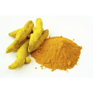 Curcuma radacina uscata RoadelePamantului 1 buc (1 kg ptr vrac)