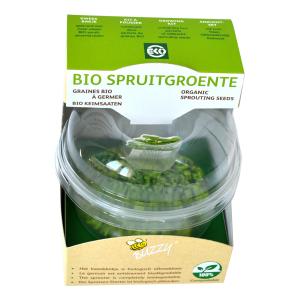 Buzzy Seeds Kit pentru Germinare Ridiche Japoneza (Daikon)