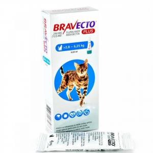 MSD Bravecto Plus Spot On 250 mg pisici 2.8 - 6.25kg
