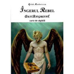 Grid Modorcea Ingerul rebel