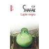 Elif Shafak Lapte negru