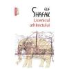 Elif Shafak Ucenicul arhitectului