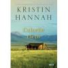Kristin Hannah Culorile vietii