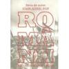 Ioan Aurel Pop Romanii. Eseuri despre unire