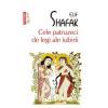 Elif Shafak Cele patruzeci de legi ale iubirii