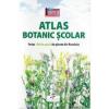 Paulina Anastasiu Atlas Botanic scolar
