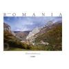 Florin Andreescu Made in Romania (lb. romana)
