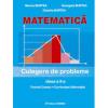 Marius Burtea, Georgeta Burtea Matematica clasa a X-a - Culegere