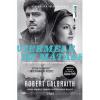 Robert Galbraith Viermele de matase