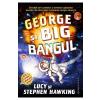 Lucy Hawking, Stephen Hawking George si Big Bangul Ed.2018 - Lucy si Stephen Hawking