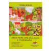Victoria Furcoiu Scrieri pentru copii de la bunica. Vol.11: Povestiri hazlii -