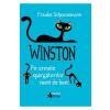 Frauke Scheunemann Winston. Pe urmele spargatorilor casei de bani -