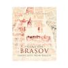 Aurelia Stoie Marginean Peisaje din Brasov -