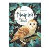 Emily Bone Noaptea si ziua. Descopar lumea -