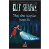 Elif Shafak Fetita careia nu-i placea numele sau -