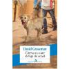 David Grossman Cineva cu care sa fugi de acasa -