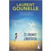 Laurent Gounelle Iti promit libertatea -