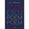 Alex. Stefanescu Eminescu, poem cu poem. La o noua lectura