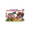 Silvia Ursache-Brega Pui de animale salbatice -