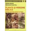 Ovidiu Bojor, Raducanu Dumitru Plante si miresme biblice