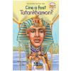 Roberta Edwards Cine a fost Tutankhamon? -