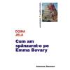 Doina Jela Cum am spanzurat-o pe Emma Bovary -