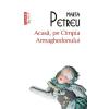 Marta Petreu Acasa, pe Cimpia Armaghedonului -