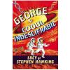 Lucy Hawking, Stephen Hawking George si codul indescifrabil -