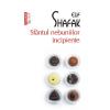 Elif Shafak Sfantul nebuniilor incipiente -