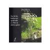 Indra Un fel de haiku-uri spirituale cu fllori si cateva pisici -