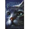 Erin Hunter Pisicile Razboinice Vol.10: Stralucirea stelelor -