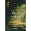 Irvin D. Yalom Plansul lui Nietzsche