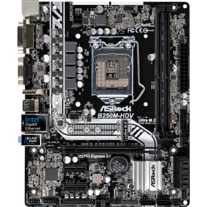 Asrock B250M-HDV