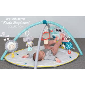 Taf Toys 4 in 1 muzical