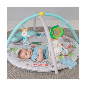 Taf Toys Curiozitati distractive 3in1