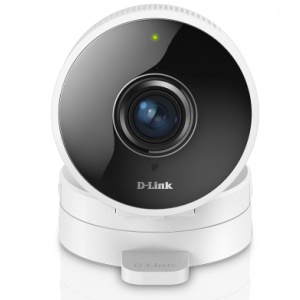 D-Link DCS-8100LH