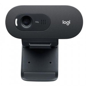 Logitech C505 HD Black