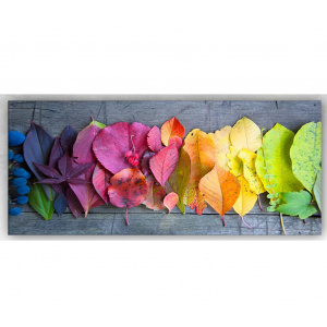 TABLO Center Tablou 5 Leaves 60x140 cm