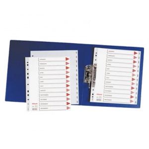 Esselte Separatoare din plastic A4, ianuarie-decembrie 96002550