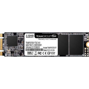 TeamGroup MS30 256GB SATA-III M.2 2280 TM8PS7256G0C101