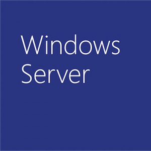 Microsoft WinSvrCAL 2019 SNGL OLP NL UsrCAL