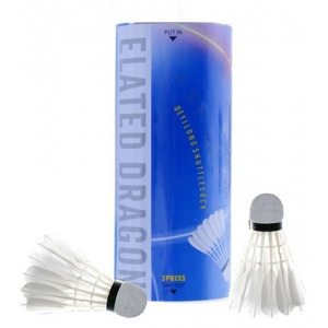 inSPORTline Set fluturasi Elated Dragon