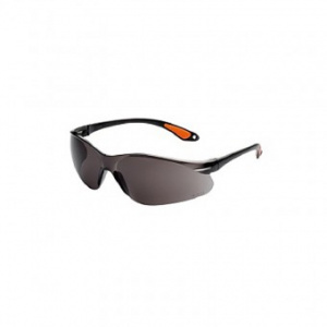 Strend Pro Ochelari de protectie cu lentila fumurie B515